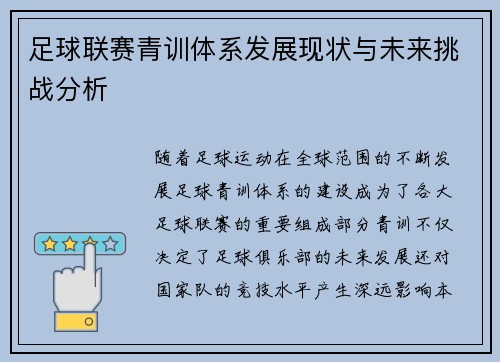 足球联赛青训体系发展现状与未来挑战分析