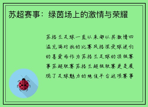 苏超赛事：绿茵场上的激情与荣耀