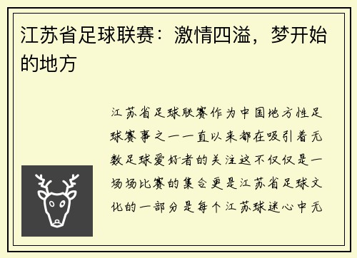 江苏省足球联赛：激情四溢，梦开始的地方