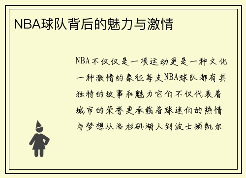 NBA球队背后的魅力与激情